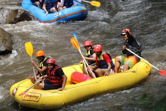 Green Bali Rafting Ticket And Transfer - Lunch at the Finish and the Quad-Biking Add-On