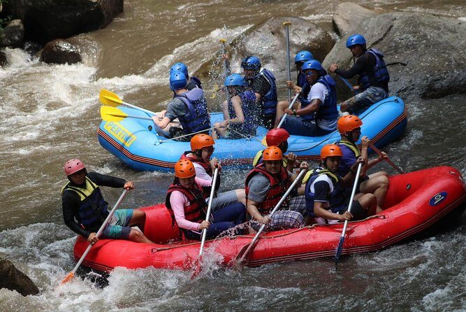 Green Bali Rafting Ticket And Transfer - Who This Rafting + Transfer Works Best For