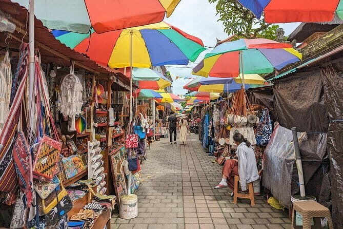 Half Day Ubud Village Private All Inclusive Tour - Hotel Pickup, Car Comfort, and the Human Factor