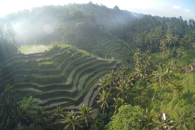 Hidden North Waterfall Bali All inclusive - Stop 4: Munduk Waterfall—cool air, coffee plantations, and a reset