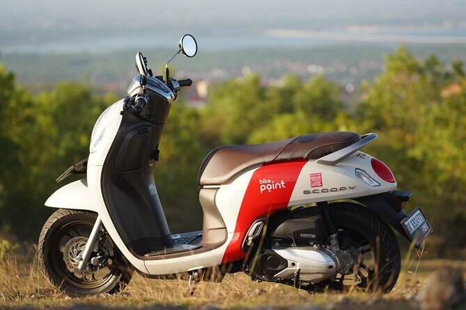 Honda Scoopy Rental in Bali - Key things I’d clock before you ride