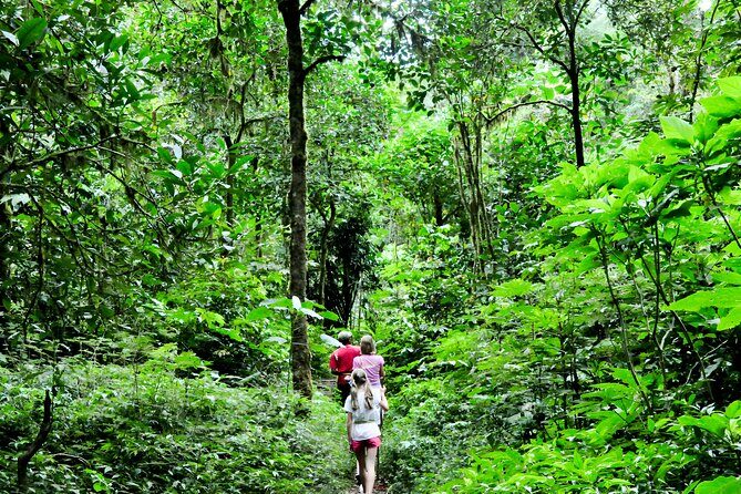 Jungle Trekking and Tamblingan Lake Canoeing in Bali Rainforest - Who should book this Bali jungle trek and canoe combo