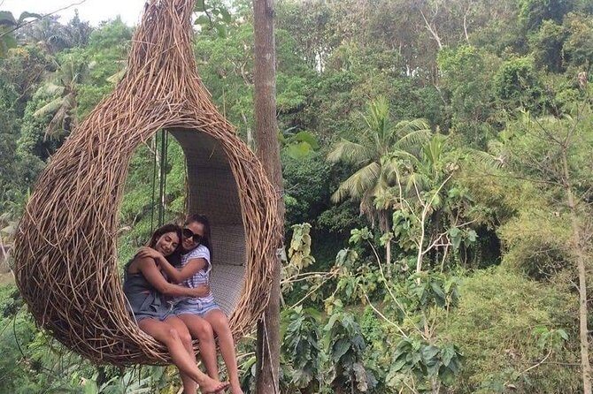 Magic Of Ubud Temple Swing And Waterfall Private Guided Tour - Tegalalang Rice Terrace and lunch: the views you remember