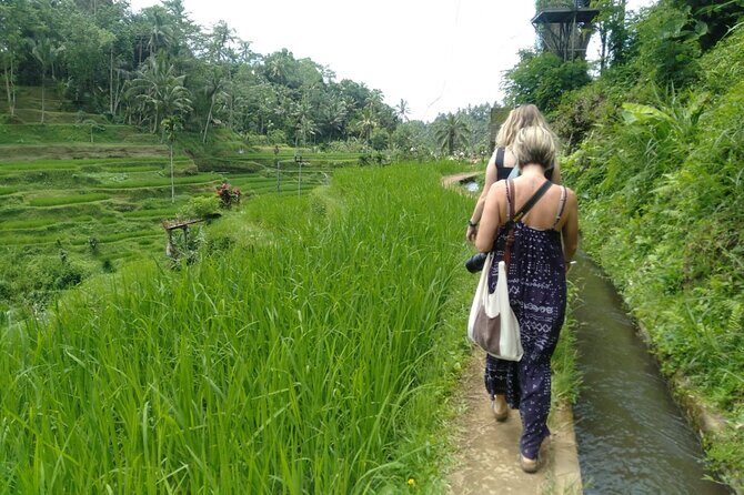Magic Of Ubud Temple Swing And Waterfall Private Guided Tour - Ulu Petanu Waterfall: greener air, slower moments