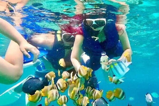 Monkey Bar and snorkling adventure at blue lagoon. - Blue Lagoon snorkeling: coral color and a guided boat ride