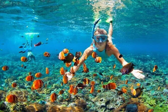 Monkey Bar and snorkling adventure at blue lagoon. - FAQ
