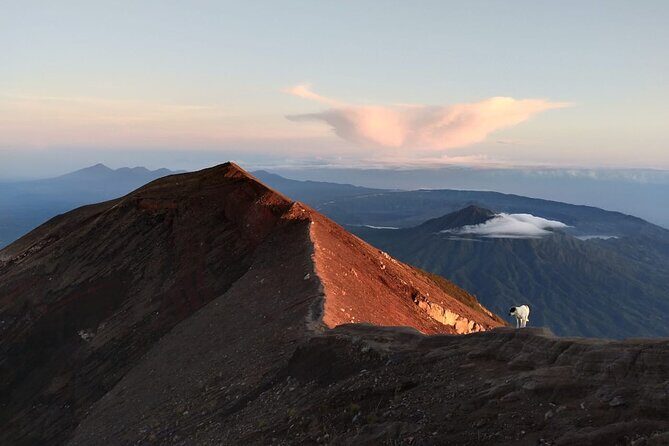 Mount Batur Sunrise Trekking, Hot Springs & Lunch at Restaurant - Buffet lunch with big views at Amora (AKASA/Batur Sari)