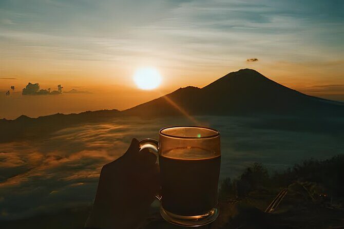 Mount Batur Sunrise Trekking with Natural Hot Spring - The coffee plantation stop at 11:30 AM