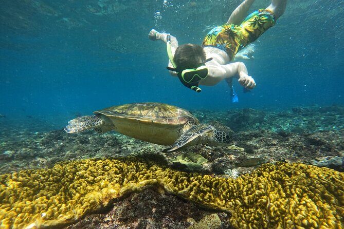 No:#1. Penida Island Tour And Snorkeling With Manta - Snorkeling Setup That Works: Gear, Life Jackets, and Comfort Level