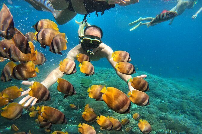No:#1. Penida Island Tour And Snorkeling With Manta - Lunch and Underwater Photos: Two Perks You’ll Actually Use