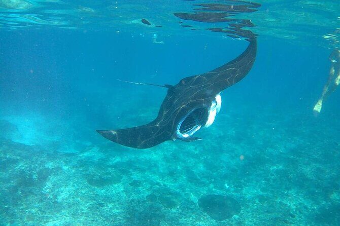 No:#1. Penida Island Tour And Snorkeling With Manta - Who This Tour Fits Best (and Who Should Rethink It)