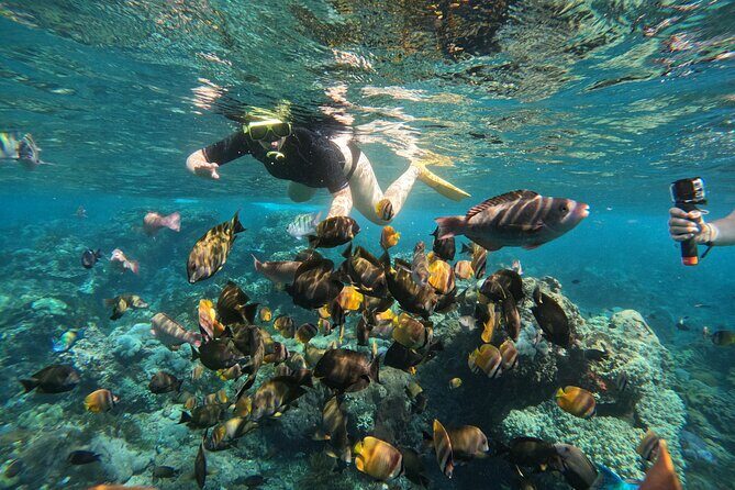 Nusa-Penida customize Tour - All inclusive - Crystal Bay and Snorkeling: When the Water Works and When It Doesn’t