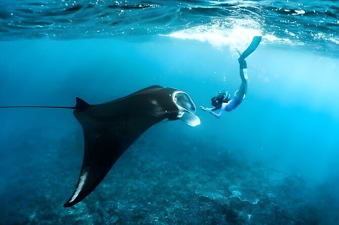 Nusa Penida Island Beach Tour With Snorkeling - Departure From Bali Island - Key things that make this Nusa Penida day trip worth your time