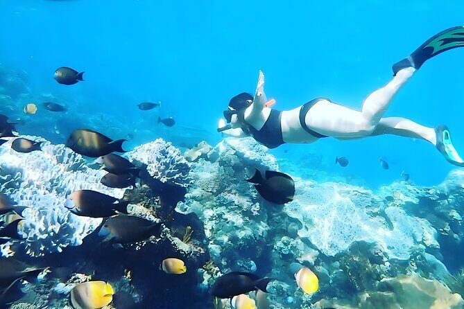 Nusa Penida Island Beach Tour With Snorkeling - Departure From Bali Island - Speedboat Day Trip From Seminyak: The 6:30am Plan