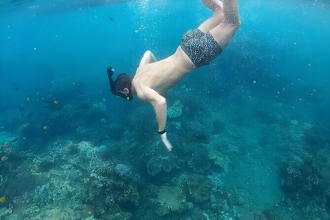 Nusa Penida Island Beach Tour With Snorkeling - Departure From Bali Island - Manta Bay and the Manta-Ring Strategy: What to Expect