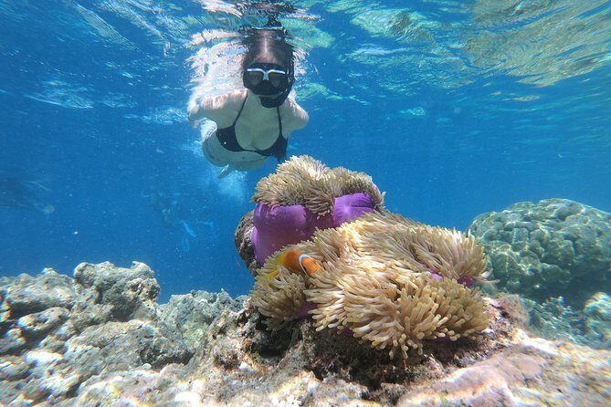 Nusa Penida Island Tour Package With Snorkeling - Quick hits before you go