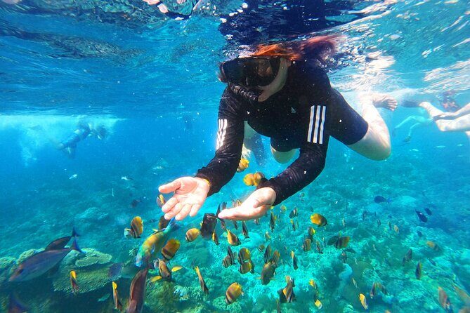 Nusa Penida Island Tour Package With Snorkeling - Private tour feel, group discounts, and who this suits best