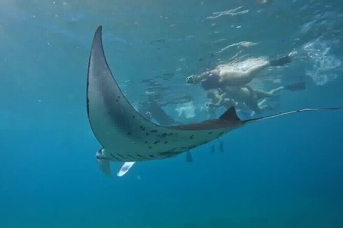 Nusa Penida Land Tour and 4 Points Snorkeling with Manta - Key Highlights You’ll Care About