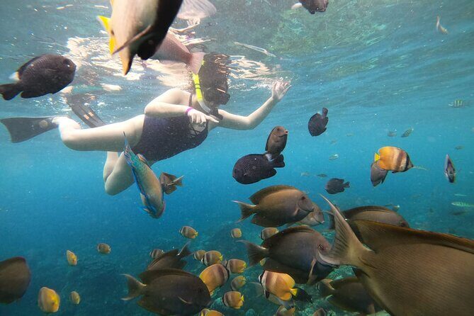 Nusa Penida Land Tour and 4 Points Snorkeling with Manta - Broken Beach at Golden Hours: Where the Wind Makes It Feel Wilder