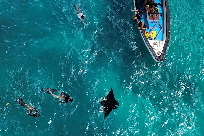 Nusa Penida Private Snorkeling and West Tour Start from Bali - Key points before you go