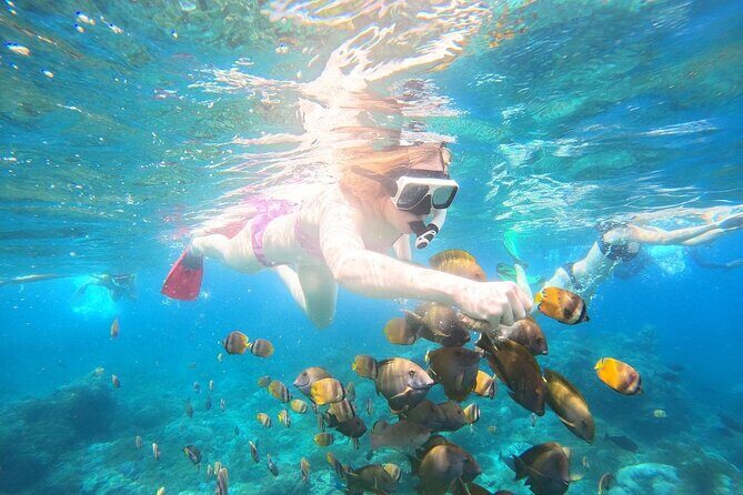 Nusa Penida Private Snorkeling and West Tour Start from Bali - Private car and fast-boat rhythm: how the day actually moves