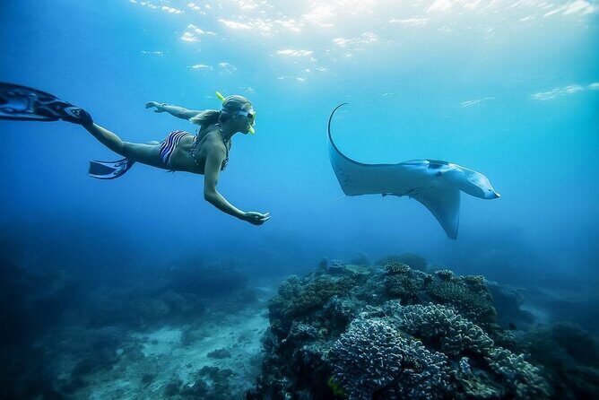 Nusa Penida Private Snorkeling and West Tour Start from Bali - Pasih Uug Beach / Broken Beach: the cliff-hole moment (quick but iconic)