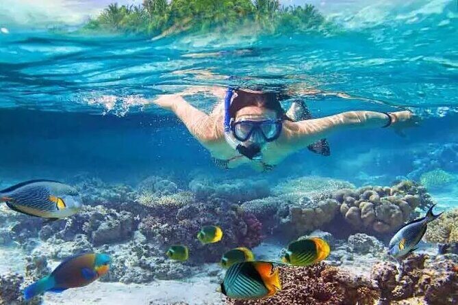 Nusa Penida West trip with snorkeling at 3 spot with Free Meals - Quick take: what you’ll love and what to watch