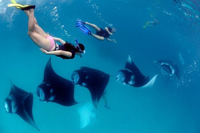 One Day Snorkeling Trip & West Tour Nusa Penida by Penidago - Key Things to Know Before You Go