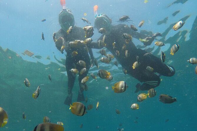 One Day Snorkeling Trip & West Tour Nusa Penida by Penidago - Lunch at 11:30: Fueling the Land Stops