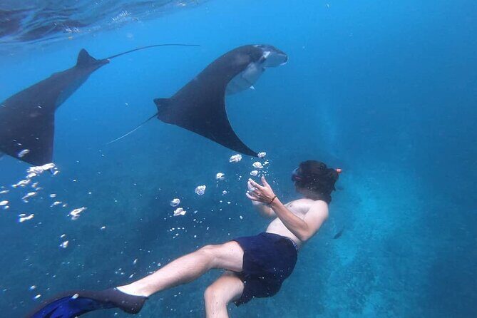 One Day Snorkeling Trip & West Tour Nusa Penida by Penidago - Group Size, Gear, and Comfort Details That Actually Matter
