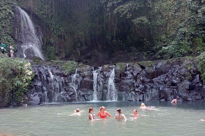 Penglipuran Village Waterfall Swing Private Guided Tour - Kanto Lampo Waterfall and Kemenuh Monkey River: photos with a plan