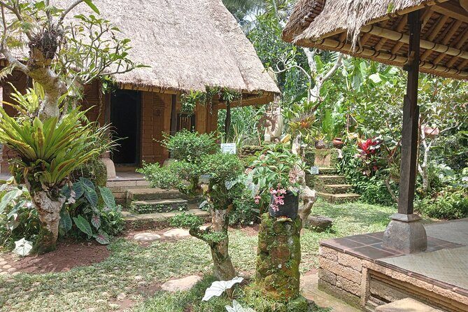 Penglipuran Village Waterfall Swing Private Guided Tour - Bali Swing over Sidan Rice Terrace: the photo stop that can make or break your timing