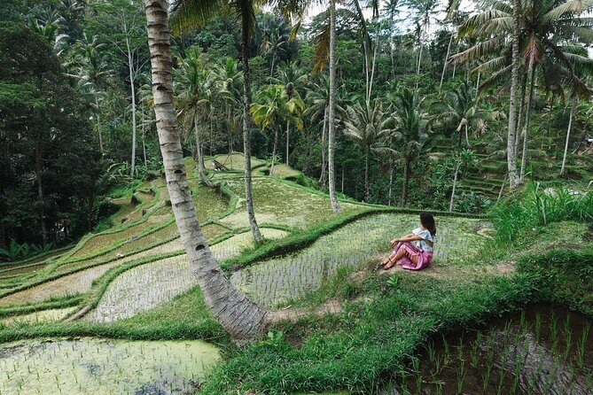 Private Bali Car Charter with Driver up to 6 People - South Bali start: GWK, Nusa Dua, and photo-stop energy