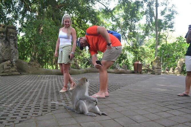 Private Bali Customized Tours - Cultural extras: Celuk crafts, batik process, and sunset dance
