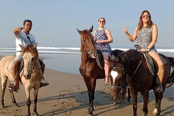 Private Bali Horse Riding In Seminyak Beach - Who should book this Seminyak beach horse ride