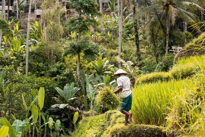 Private Customized Trip to Ubud - A Ubud Day That Moves at Your Speed