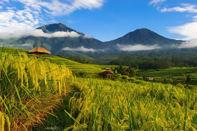Private Full-Day Tour: Discover The Best of Bali Destination - Tamblingan and the 4,000-foot farming views at twin lakes