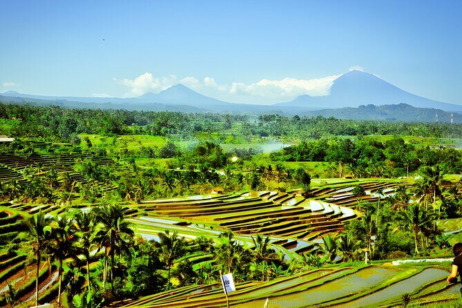 Private Full-Day Tour: Discover The Best of Bali Destination - The ride-by bonus stops: hills, a waterfall, a botanical garden, and temples
