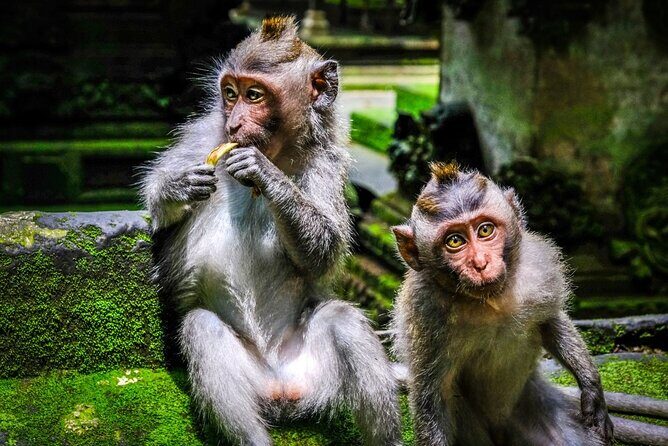 Private Full Day Tour In Ubud Bali - Stop 5: Tegenungan Waterfall, with time for a closer look