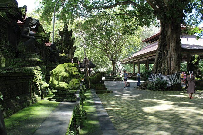 Private Full Day Tour to Ubud Highlights with Giant Swing - Private Full Day From Seminyak: Why This Plan Works
