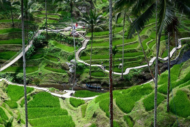 Private Full Day Tour to Ubud Highlights with Giant Swing - Tegenungan Waterfall: A Short Trail Down and Optional Swim Time
