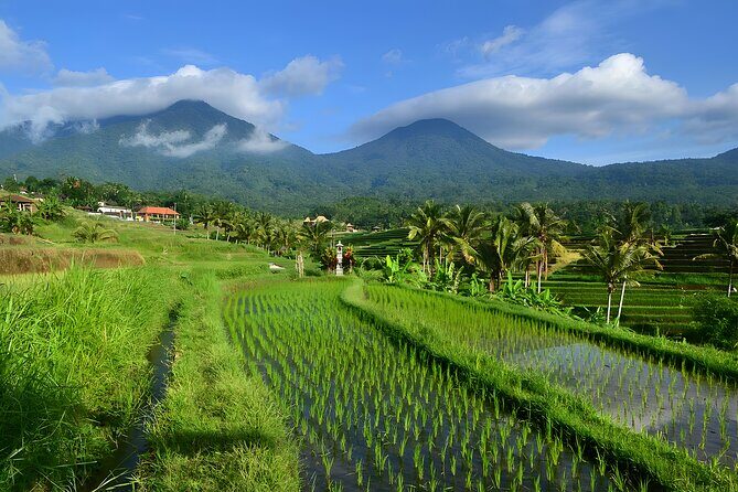 Private Full-Day Tour: Ulun Danu Beratan Temple, Jatiluwih and Tanah Lot Temple - Ulun Danu Beratan on Lake Bratan: when the setting does half the work