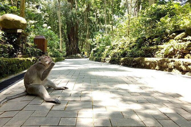 Private Inclusive Tours: 2 Days highlight of Bali - Who this private tour is best for (and who should pass)