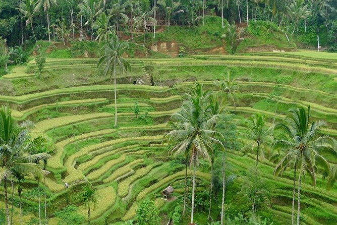Private Inclusive Tours: 2 Days highlight of Bali - Day 2 around Uluwatu: beaches first, then cliffs, then the show