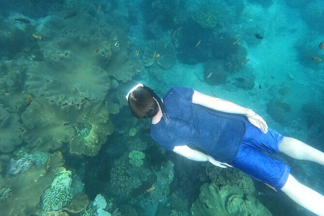 Private Nusa Penida Snorkeling Tour - Amarta Penida / Green Kubu lunch: views plus a breather