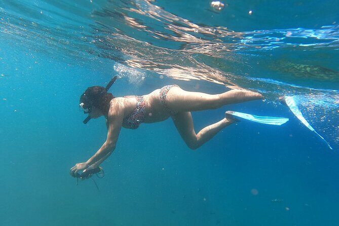Private Nusa Penida Snorkeling Tour - Snorkeling on Nusa Penida: the real star of the day