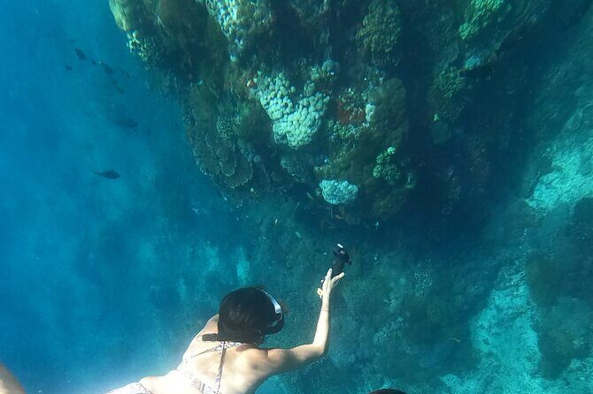 Private Nusa Penida Snorkeling Tour - Price and value: why about $158 might make sense