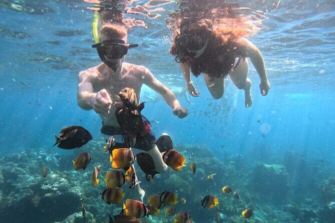 Private Snorkeling from Nusa Penida - Private Snorkeling From Nusa Penida: What Makes This Day Worth It