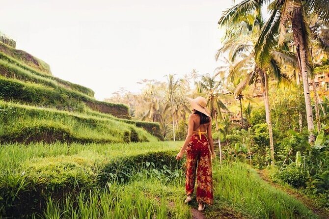 Private Tour Ubud: Swing at Rice Field with Temple and Waterfall - Stop 1: Aloha Ubud Swing for big valley views