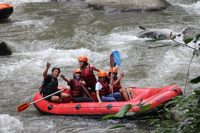 Rafting Swing Monkey Forest And Waterfall Tour All Inclusive - Payung Rafting Bali: white-water on the Ayung with a guide